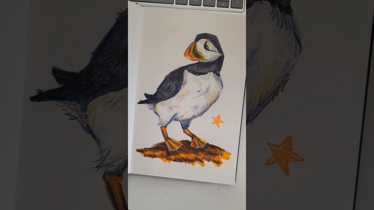 cute puffin drawing!! #art #drawing #sketch #artist #cute #sketchbook #fypシ゚viral #fyp #puffin #draw