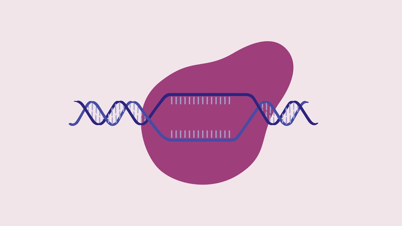 Gene Editing