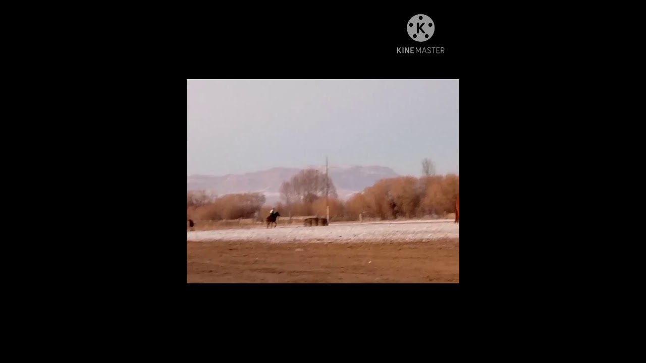 Ача Кайынды & 1 Май  Акимдин кубогу