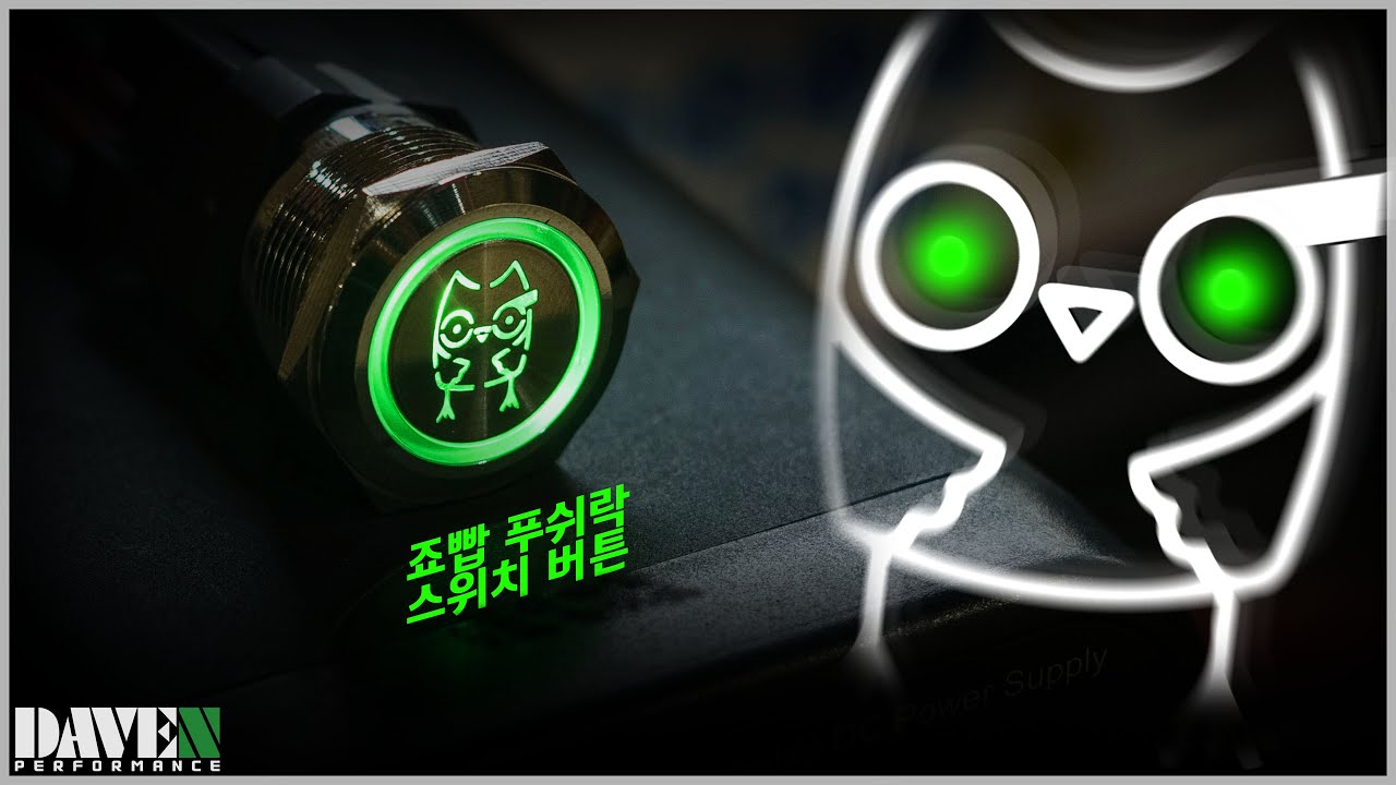 ㄹㅇ다용도임 [죠빱 푸쉬락 스위치 버튼] l 데븐퍼포먼스