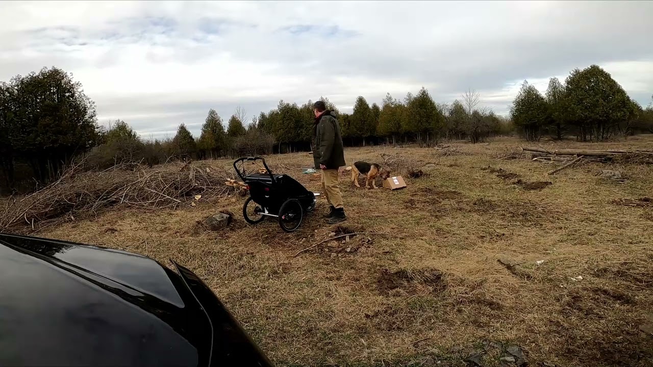Planting Blueberries and Haskaps - Planter les Bleuets et les Haskaps