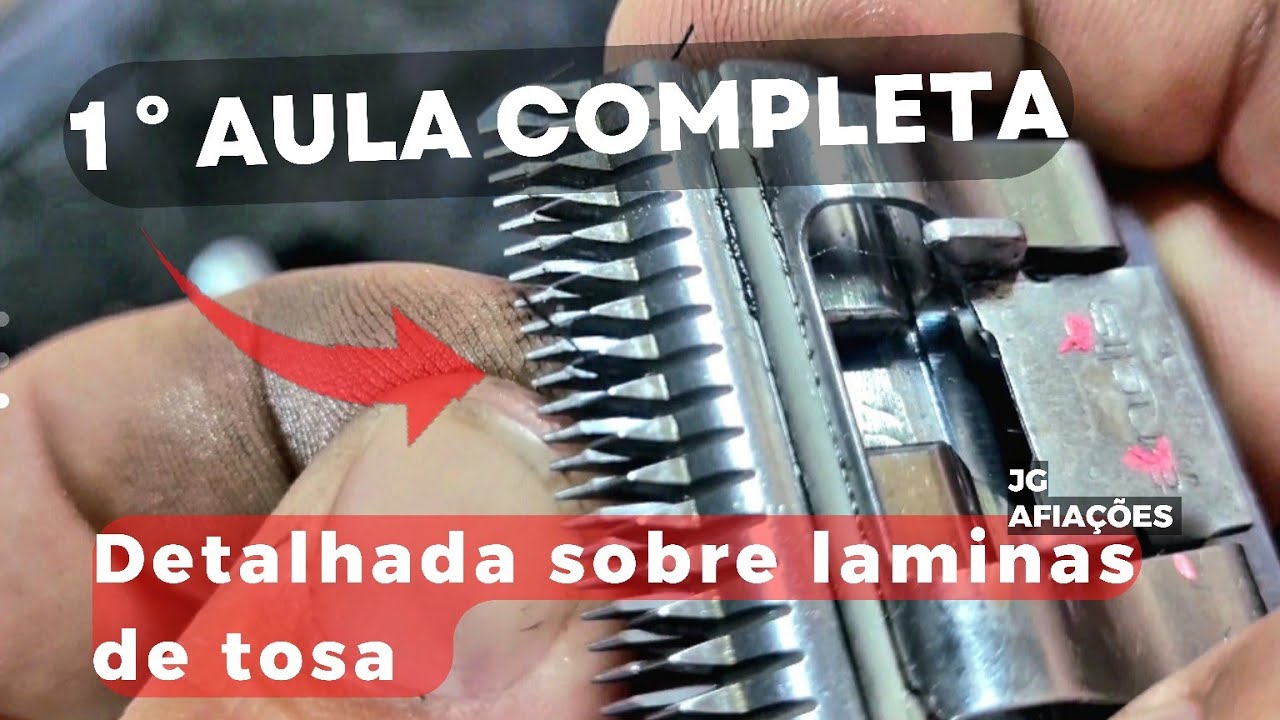 1º Aula COMPLETA sobre Lâminas de TOSA  #afiação #afiando #profissional #laminas #tosa