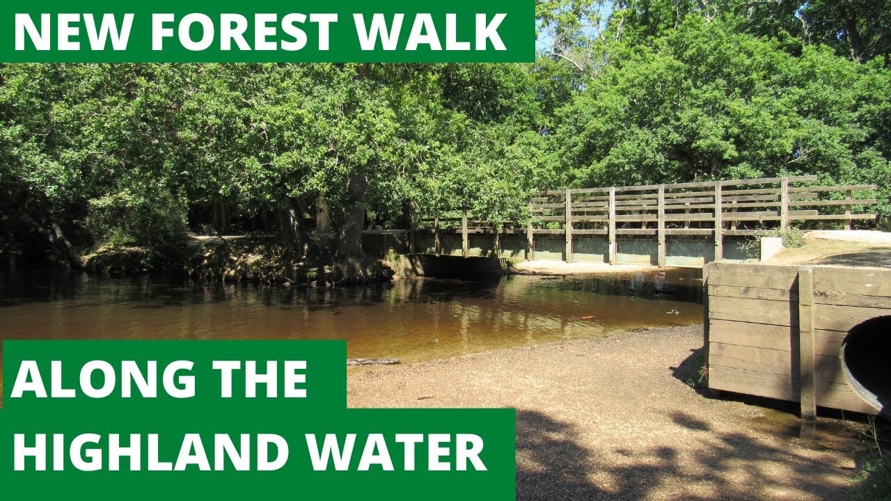 NEW FOREST WALK ALONG THE HIGHLAND WATER (FROM THE SOURCE TO BOLDERFORD BRIDGE) (4K)