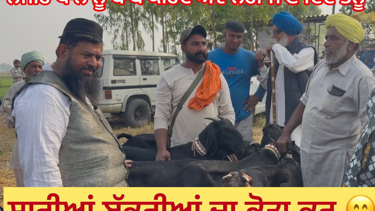 ਨਜੀਰ ਵਪਾਰੀ ਘੇਰ ਲਿਆ  ਬਾਪੂ ਨੇ ਕਹਿੰਦਾ ਕੋਤਾ ਕਰ ਸਾਰੀਆਂ ਦਾ ll MULLNAPUR MANDi ll 