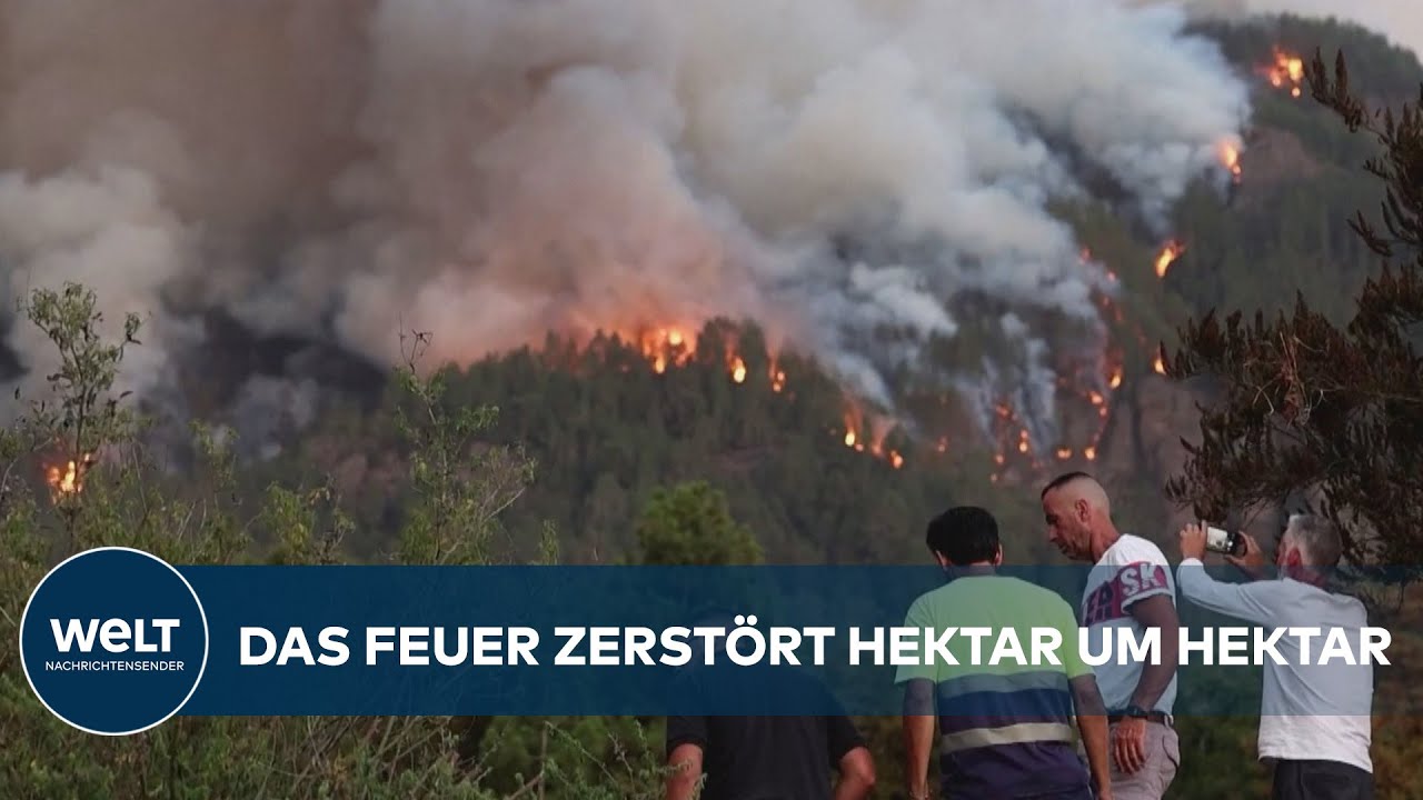WALDBRÄNDE AUF TENERIFFA: Schlimmste Brandkatastrophe seit 40 Jahren bedroht Urlaubsparadies