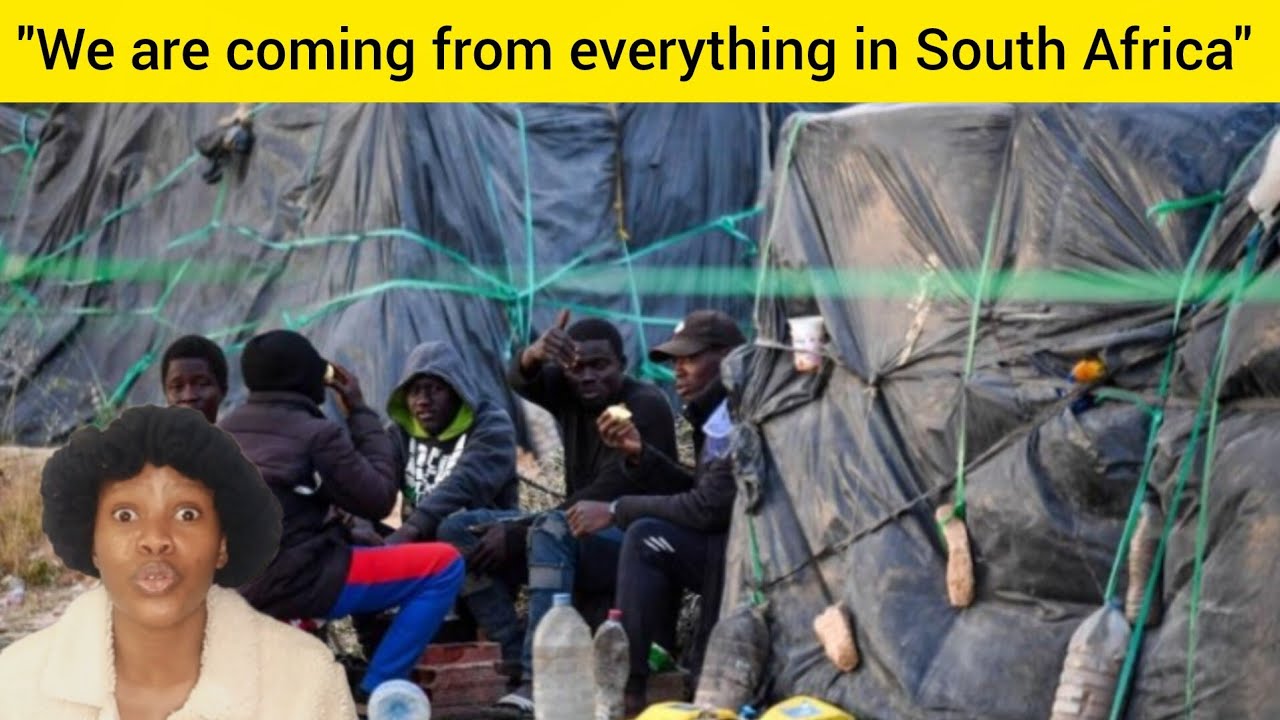 Illegal foreigners are taking over South Africa for real, they have occupied every township in SA🫨