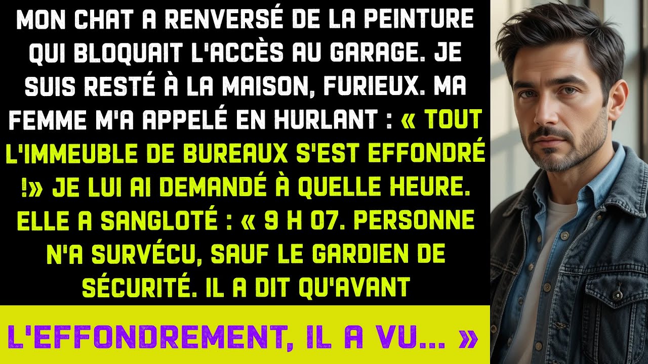 Mon chat a renversé peinture bloquant garage — Femme a appelé criant «Tout le bureau s'est effondré»