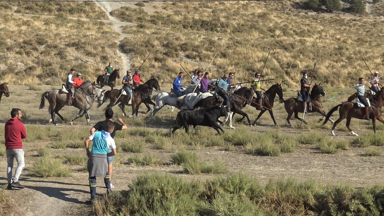 Arrabal de Portillo 2022 Encierro Mixto del domingo