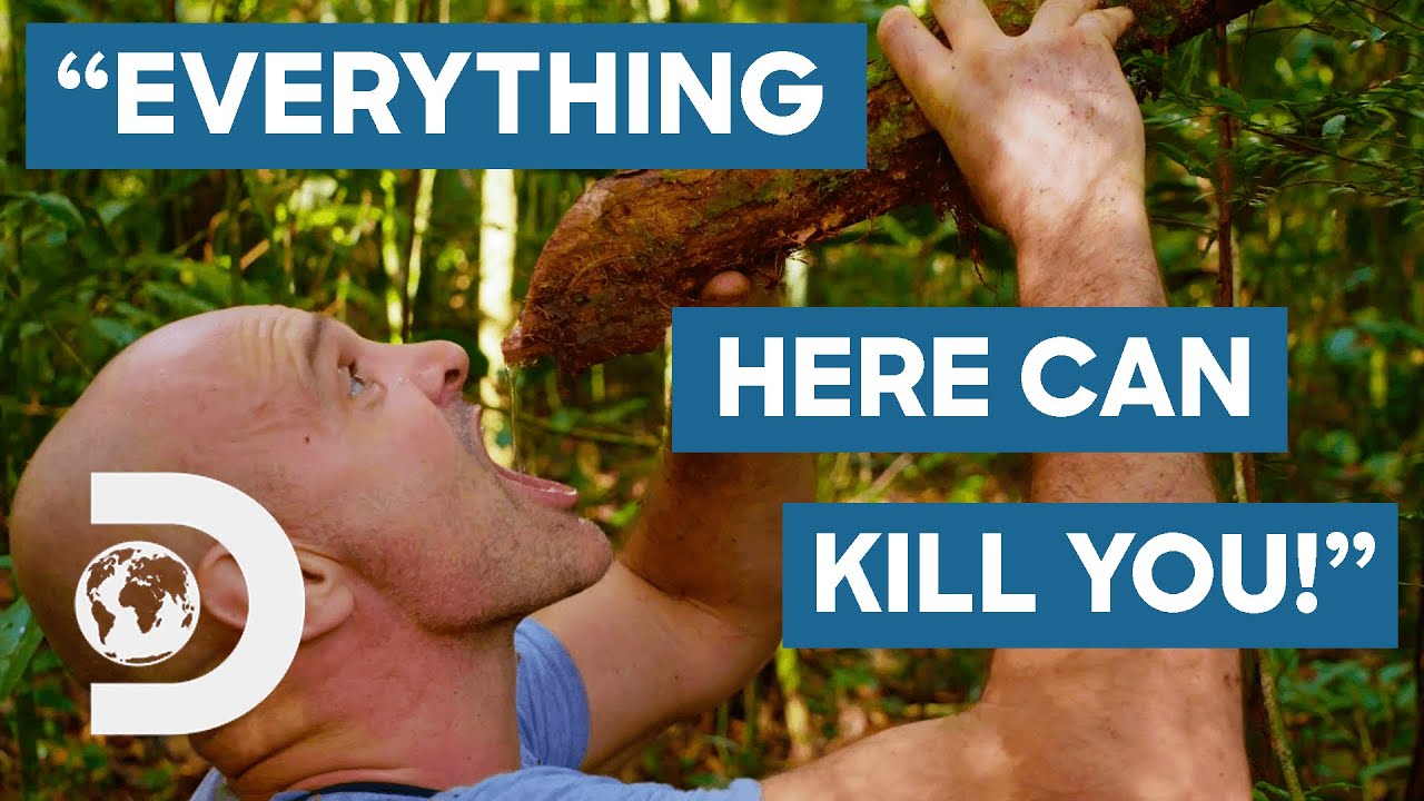 Facing The World's Deadliest Creatures In The Amazon Rainforest | Ed Stafford: First Man Out