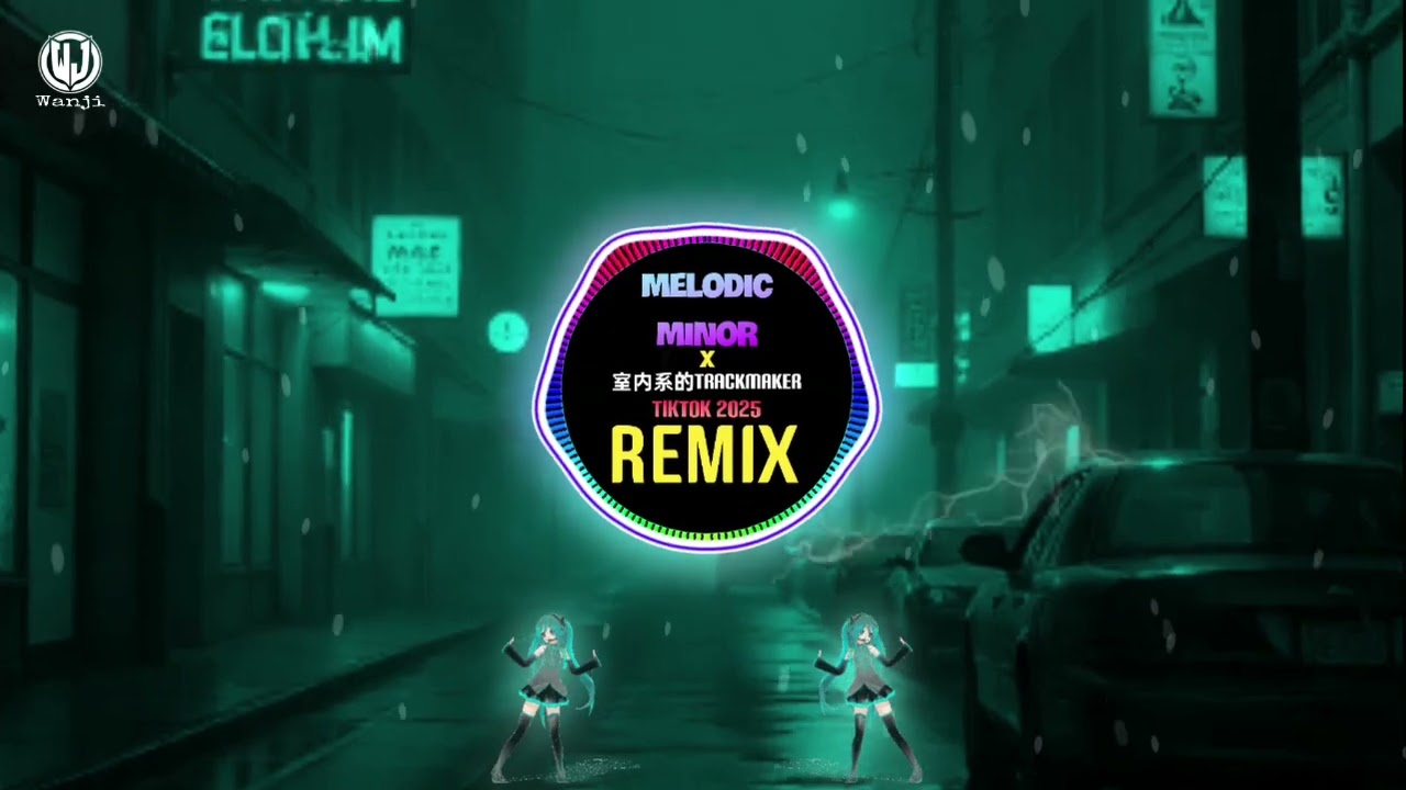 室内系的TrackMaker x Melodic Minor (DJ抖音版 Remix Tiktok 2025) - Hanser || Tiktok Douyin 法修散打 (高峰期的街上堆满车子)
