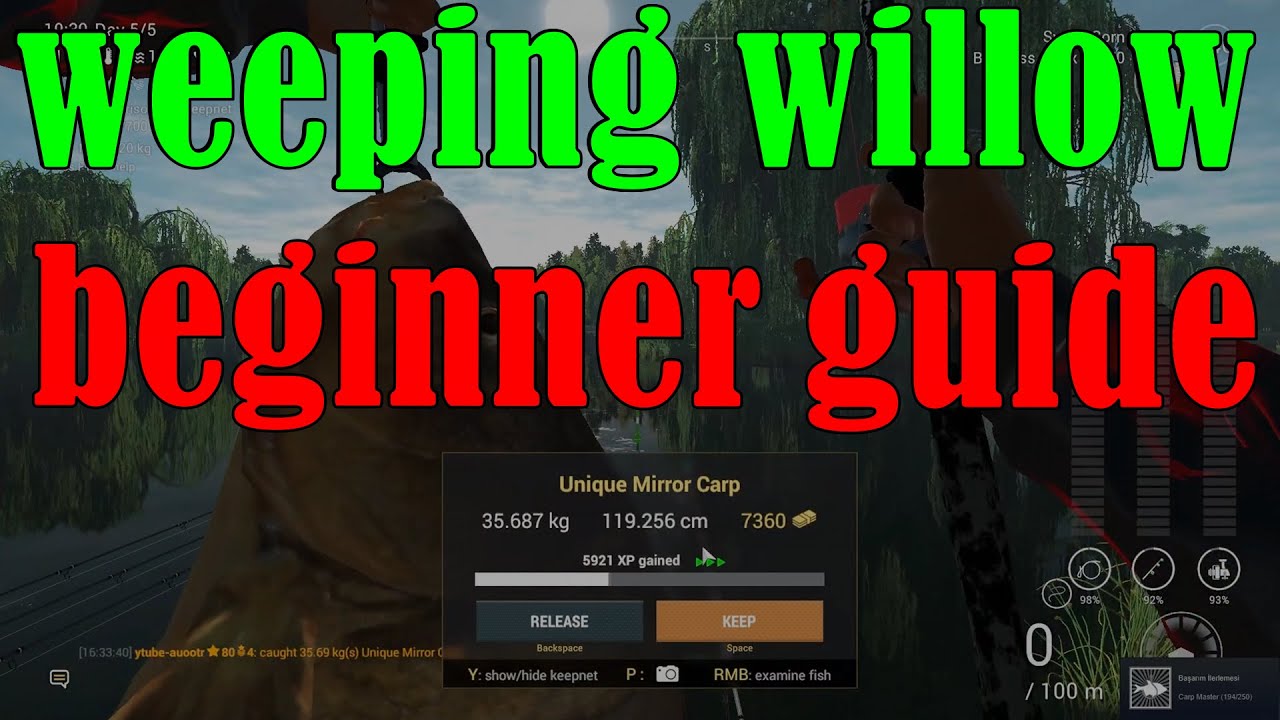 Fishing planet - LVL 50 Weeping Willow | Beginner guide