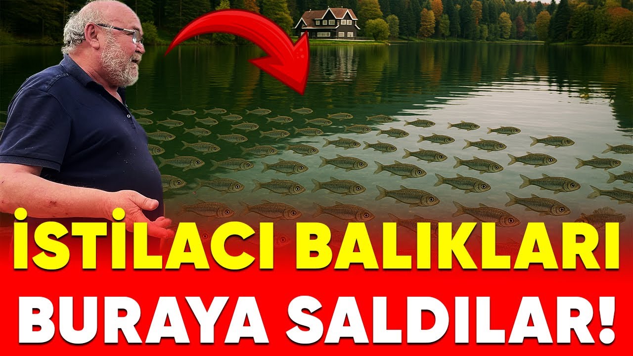 Gölcük Tabiat Parkı’nda İstilacı Balık İsyanı!