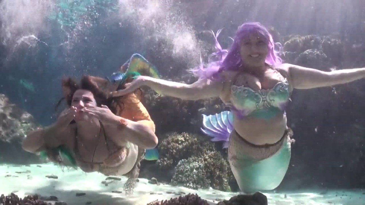 Reef HQ Aquarium's Merman Mack