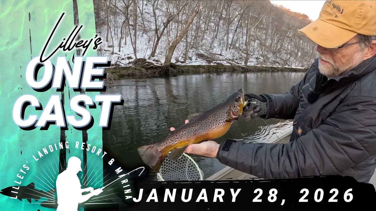 Lilley's One Cast, January 28