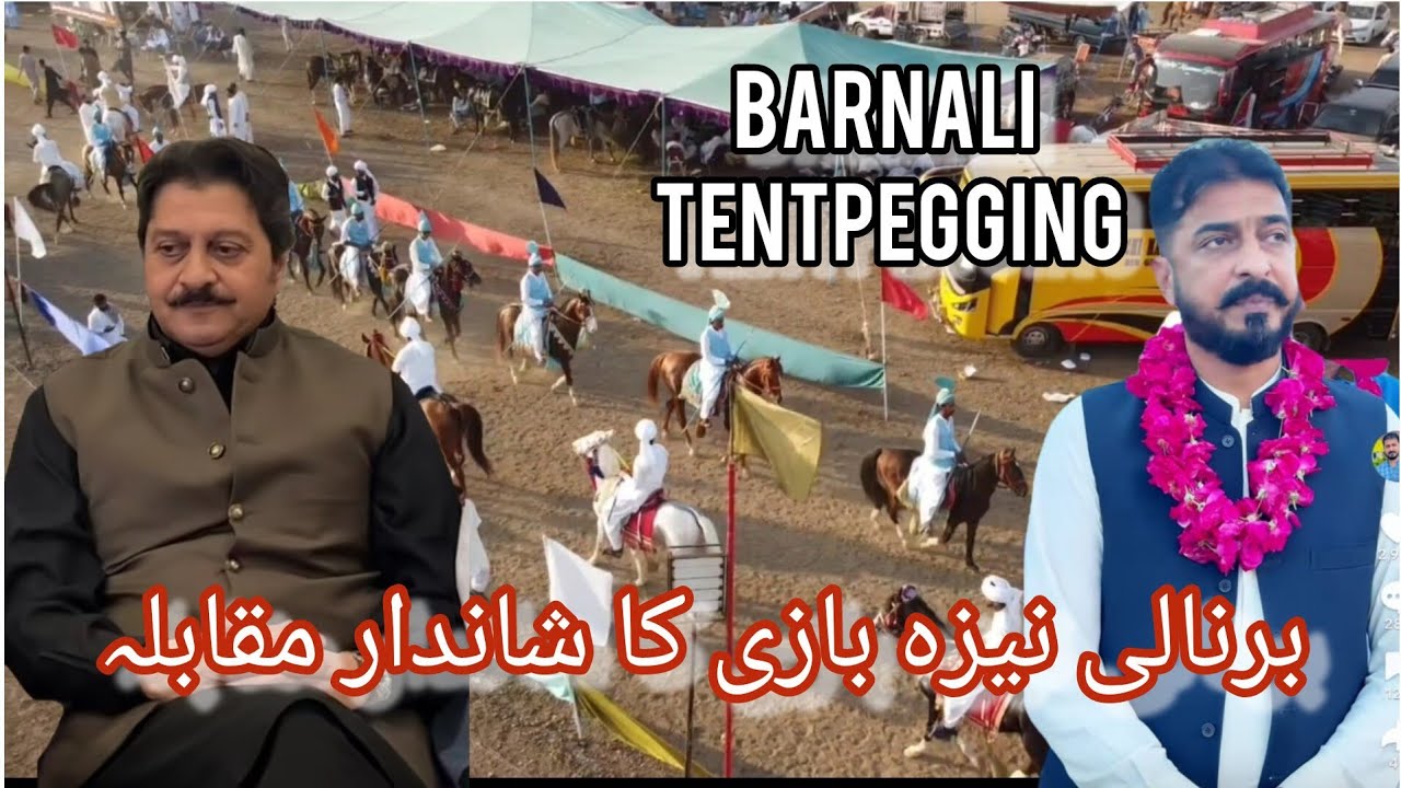 Barnali Naiza bazi | tentpegging in Barnali | #naizabazi #horseriding #tentpegging 