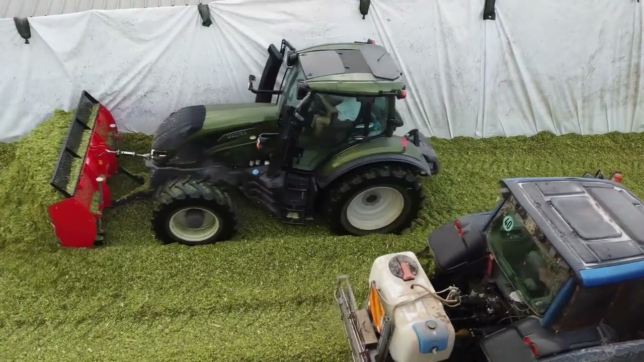 PUSHING SILAGE 2024 | Valtra T175 + Lama insilato | Maisernte 2024