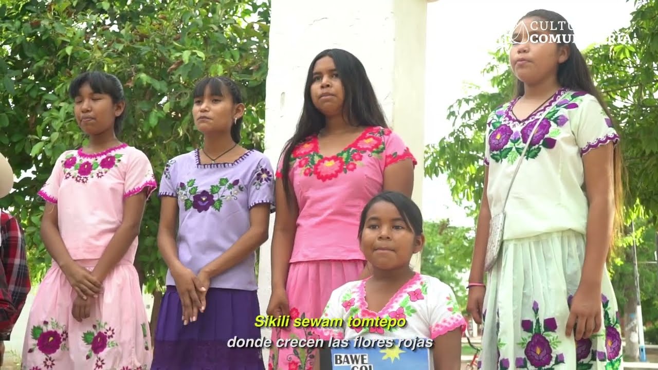Semillero creativo de Lengua yaqui en Vícam, Sonora y ensamble musical Bemela Sewa: Semalulukut