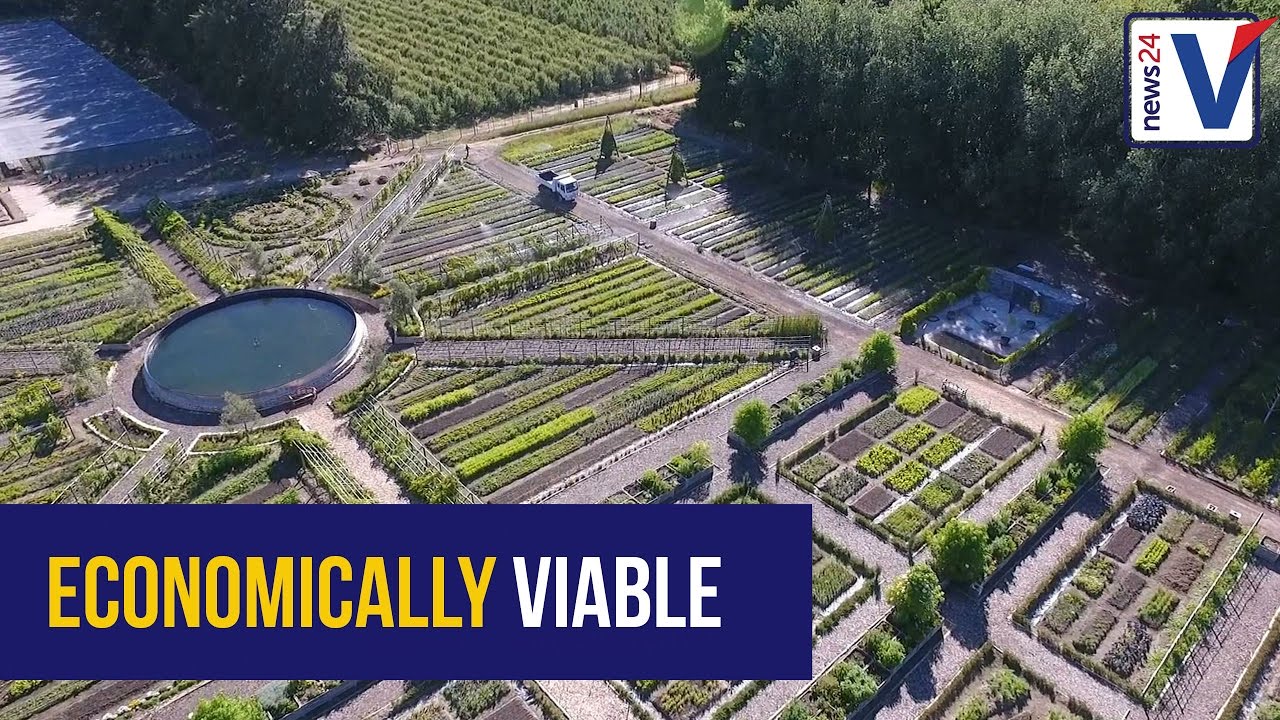 The journey of sustainability in Boschendal's agriculture - Rob Lundie