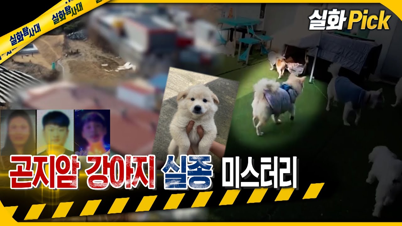 [실화Pick] 곤지암 강아지 실종 미스터리 #실화탐사대 #실화On MBC230420방송