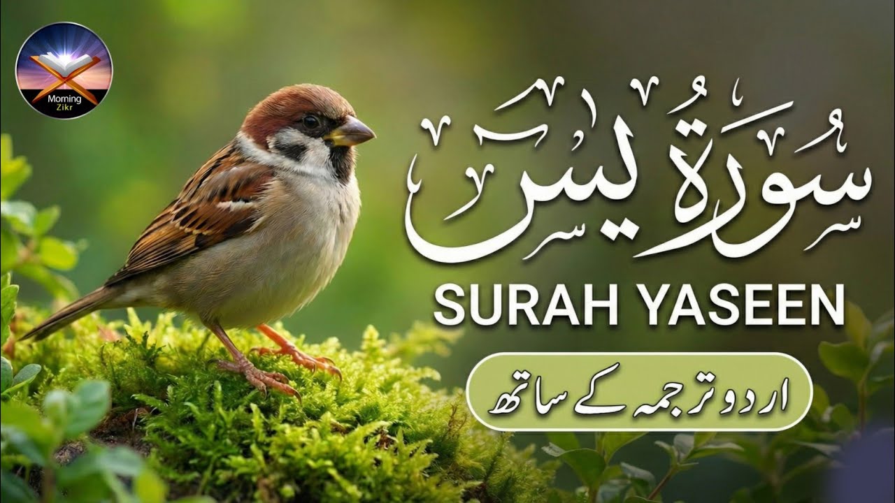 Surah Yaseen (Yasin) سورة يس | Heart-Touching Quran Recitation by Qari Mansoor | Peace & Blessings