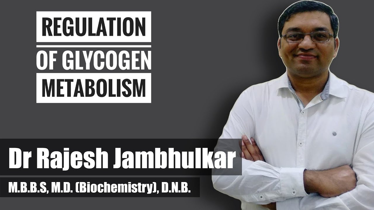 11. Glycogen metabolism Regulation and glycogen storage disorders