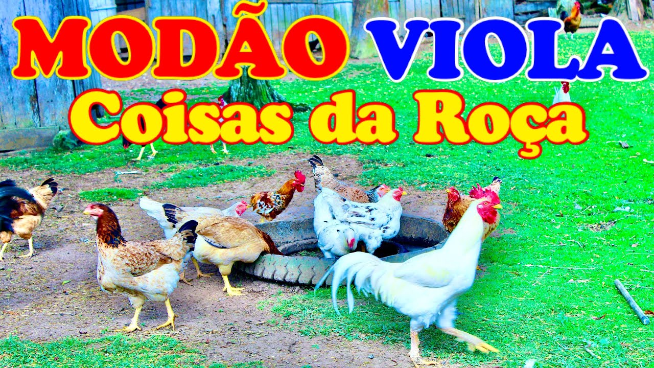 Coisas da Roça MODÃO DE VIOLA PAGODÃO E SERTANEJÃO Viaja no Mundo Caipira Trazendo Boas Recordações