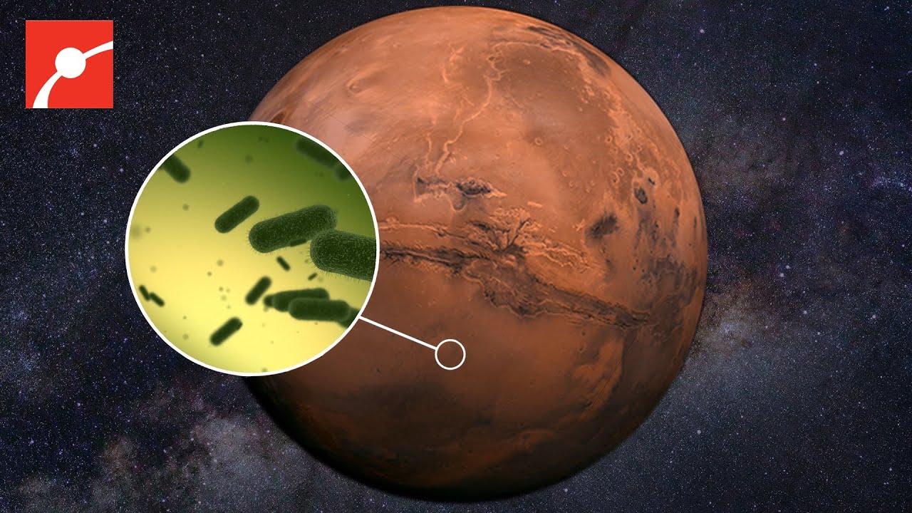 Поиск жизни на Марсе от NASA 🧬