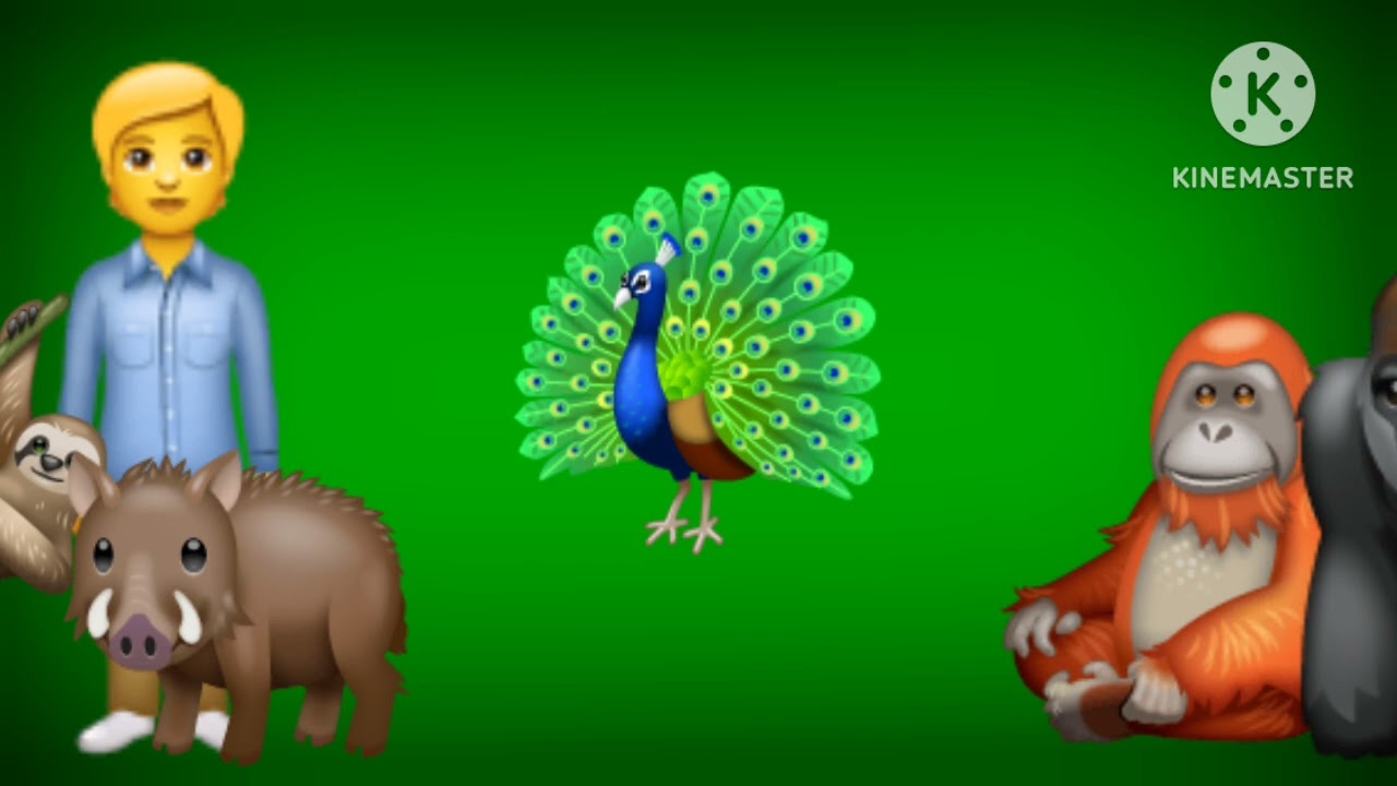 Jungle animal size comparison for kids