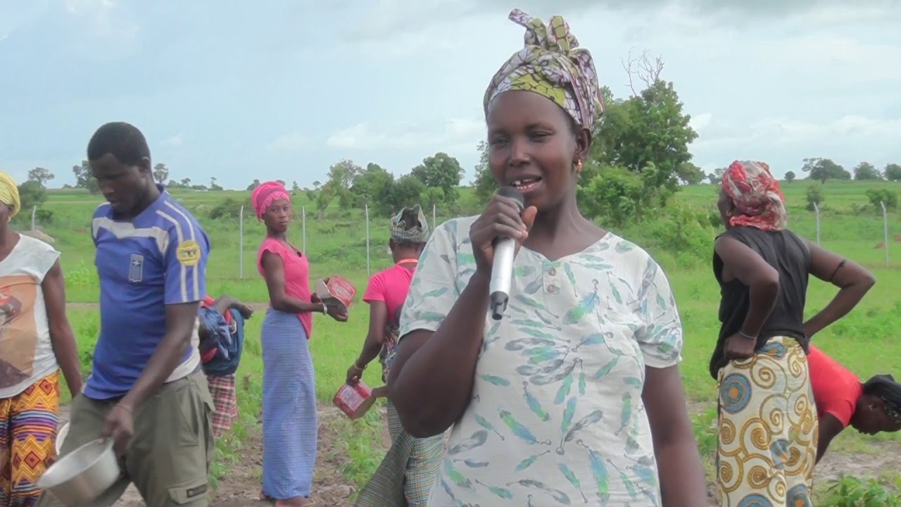 Cassava Production