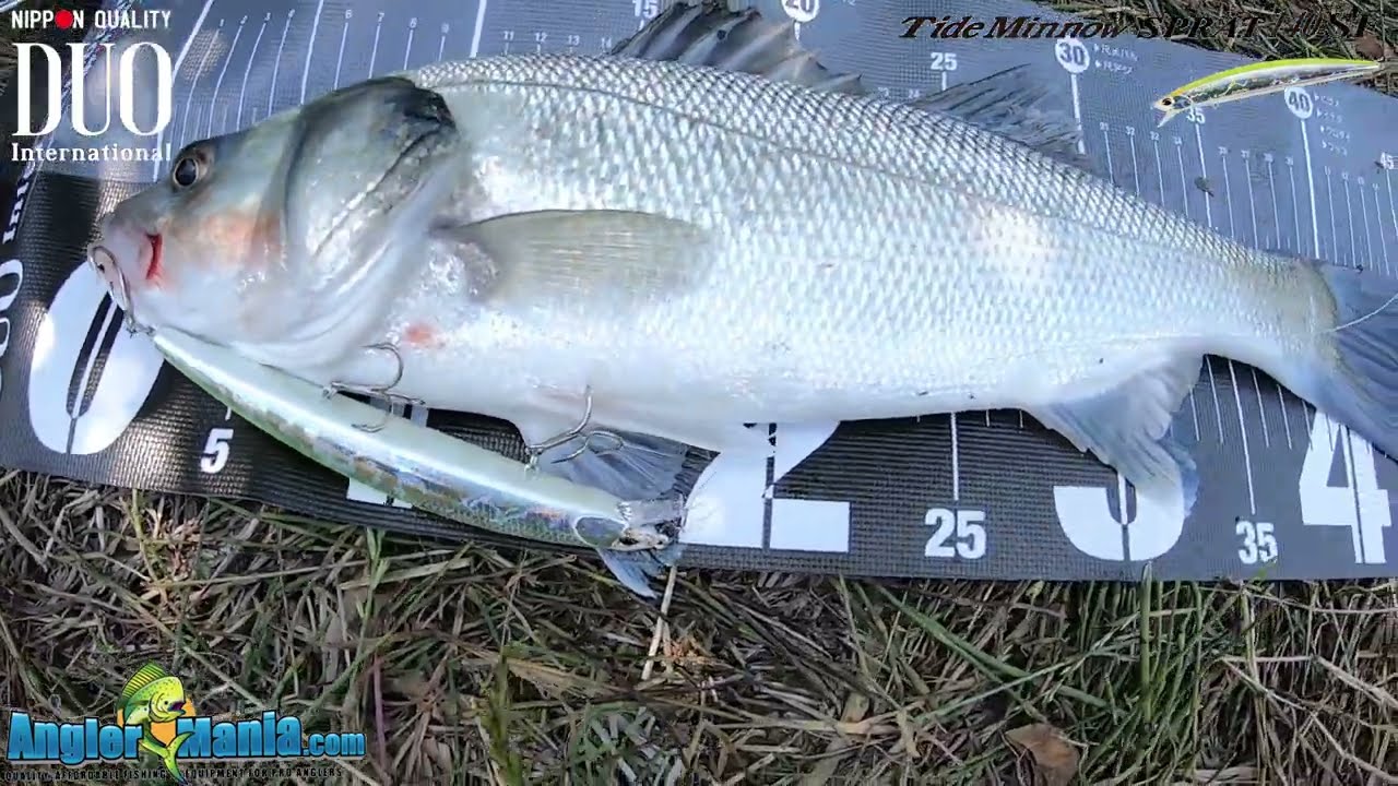 Duo Tide Minnow Lance 160S  - Duo Tide Minnow  Sprat 140SF