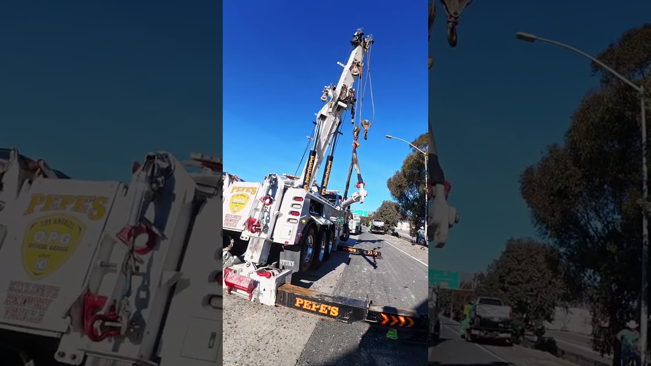 Два грузовика врезались в дерево.