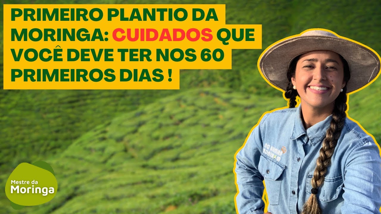 Cuidados Essenciais nos Primeiros 30/60 Dias do Plantio de Moringa
