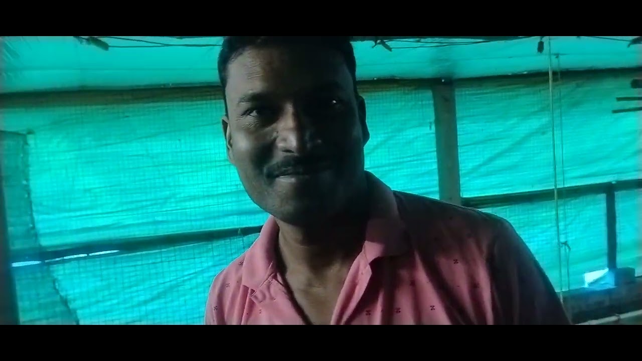 অনুপ দাদার ফার্মের কাজ কমপ্লিট । প্রথম ব্যাচের আপডেট।