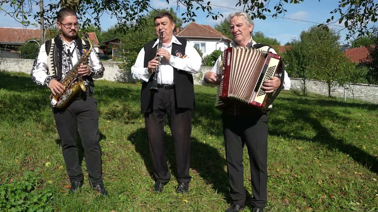Rapsozii din Izvoarele - Lina de pe Strei