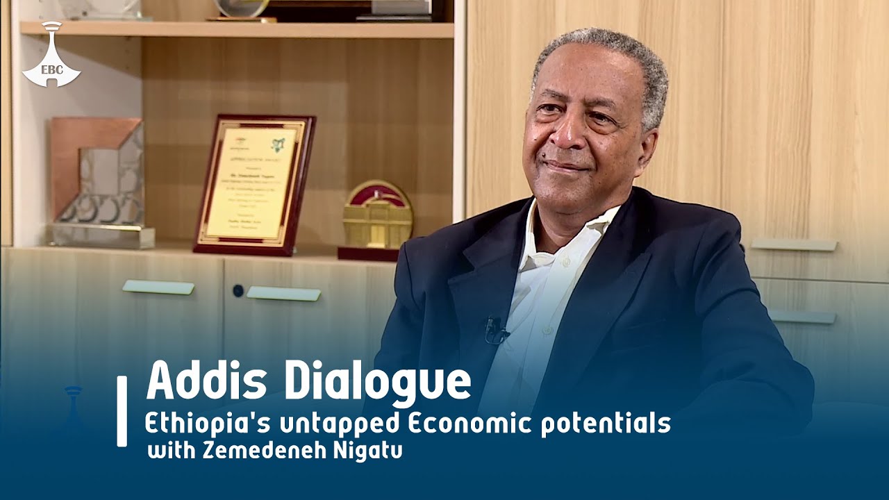 Addis Dialogue:#Ethiopia's untapped Economic potentials#with Zemedeneh Nigatu