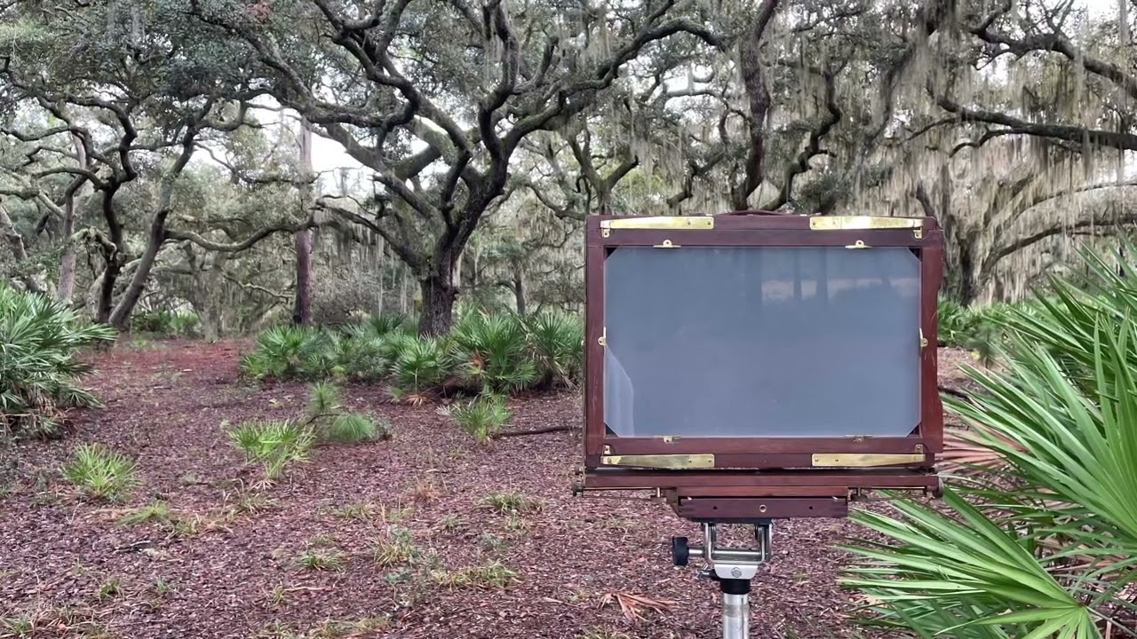 My 12x20 Large Format Photography 2021