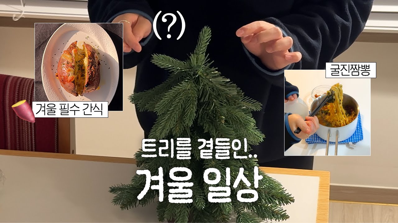 굴진짬뽕 해먹고 미니 트리 만드는 겨울 일상🍠