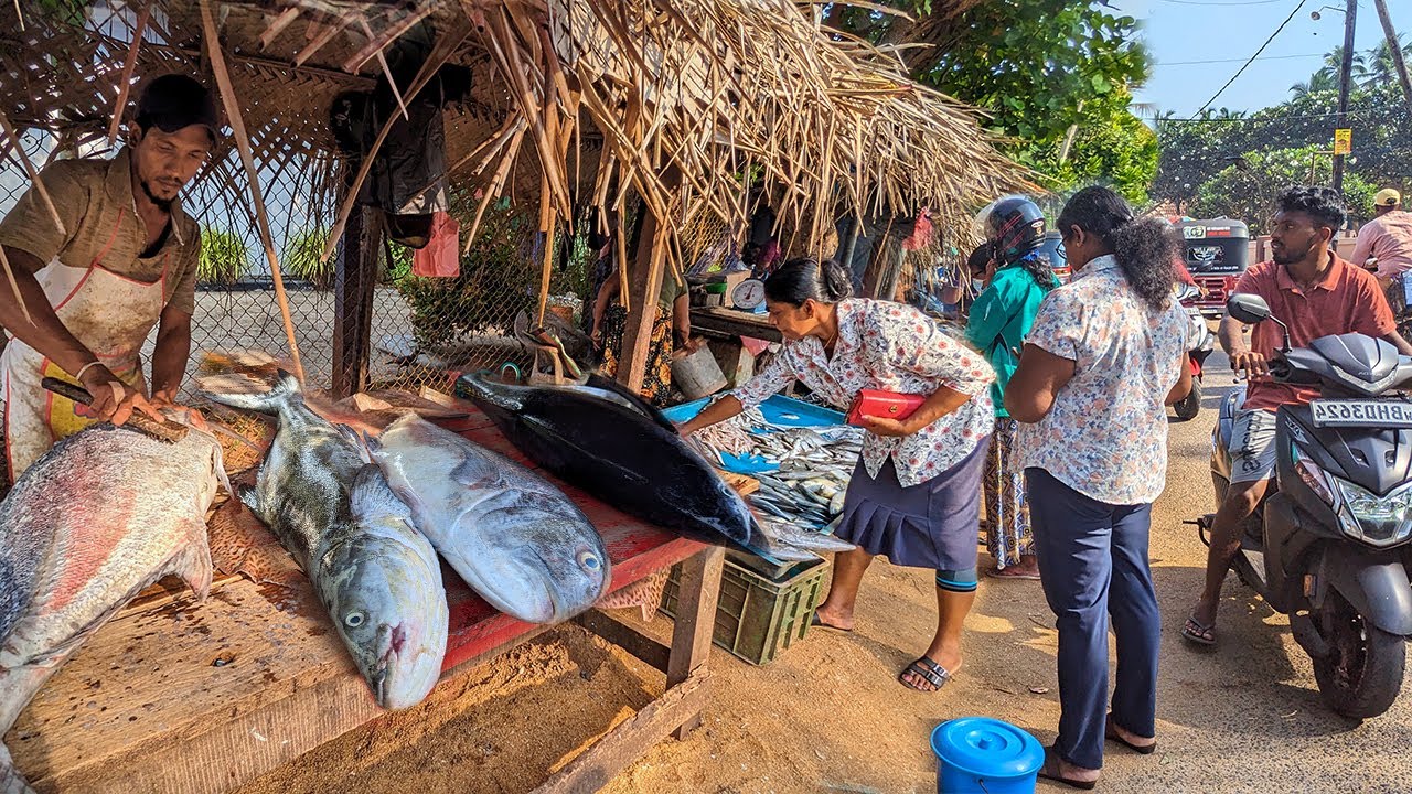 Wow! Perfect Village Market | Huge Fish Cutting Skills Never Seen Before Live Fish Cutting Show