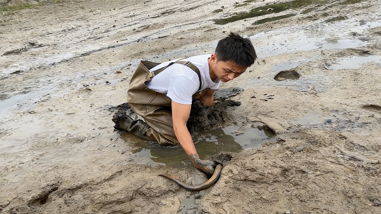 1200 元盤下整片塘！倆桶闖鱔魚窩，結局驚掉下巴！#fishing #拳擊