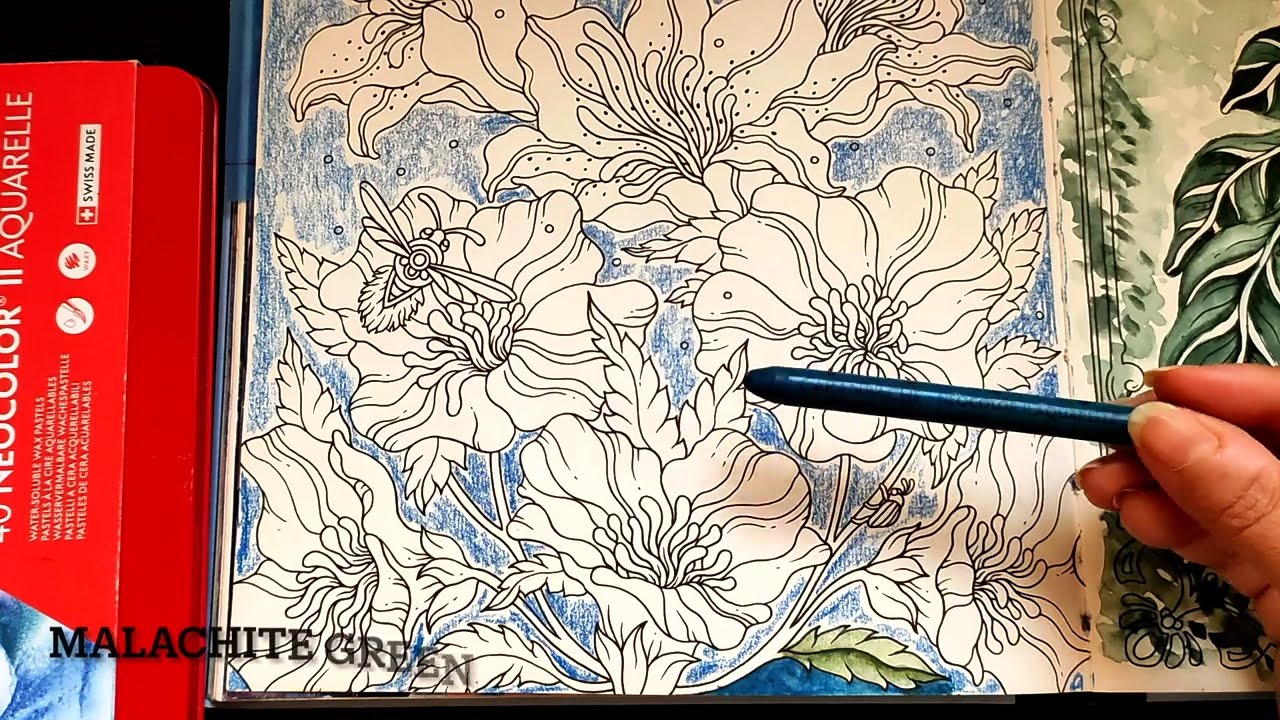 Background with Caran D'ache Neocolor II in Hanna Karlzon Book|Watersoluble crayons|Neocolor ii|