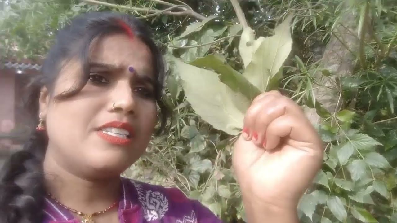 हेलो फ्रेंड देख सकते हैं मैं क्या लि हू कमेंट करके जरूर बताऊंगा वीडियो कैसा लगा#Poojacutevlog