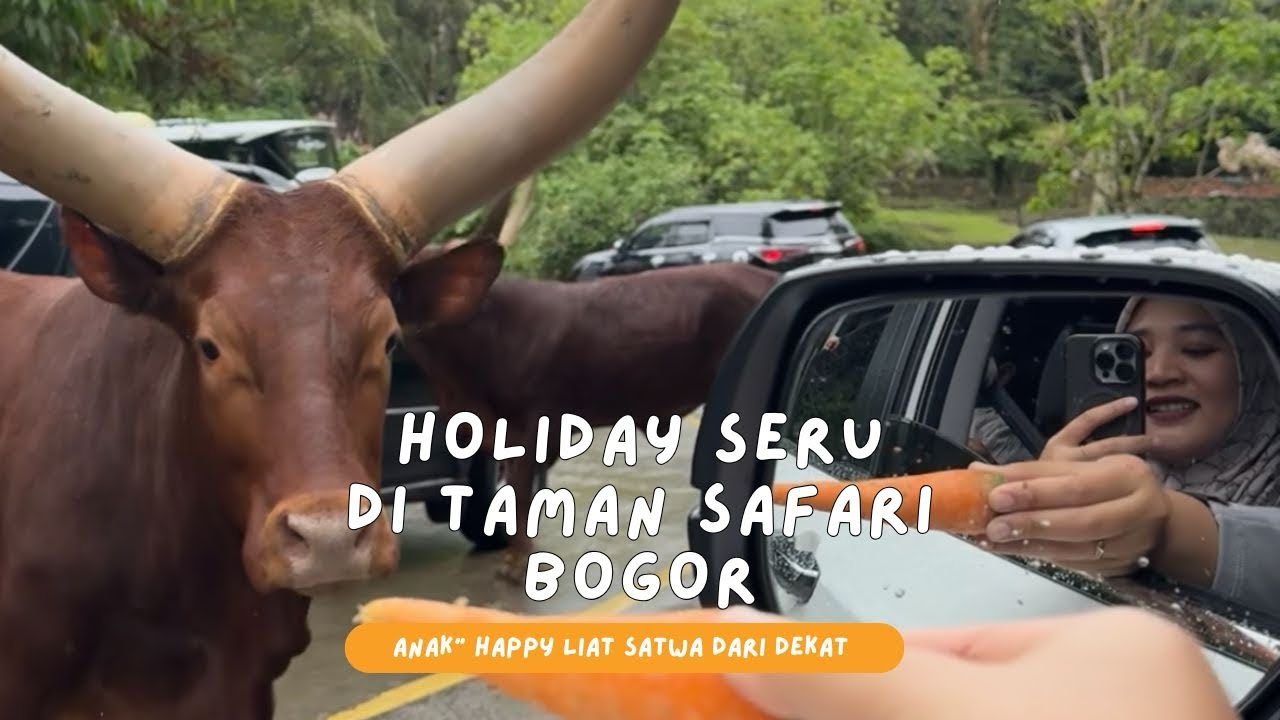 Holiday Seru di Taman Safari Bogor 🦁🦓 | Anak-anak Happy Lihat Satwa dari Dekat
