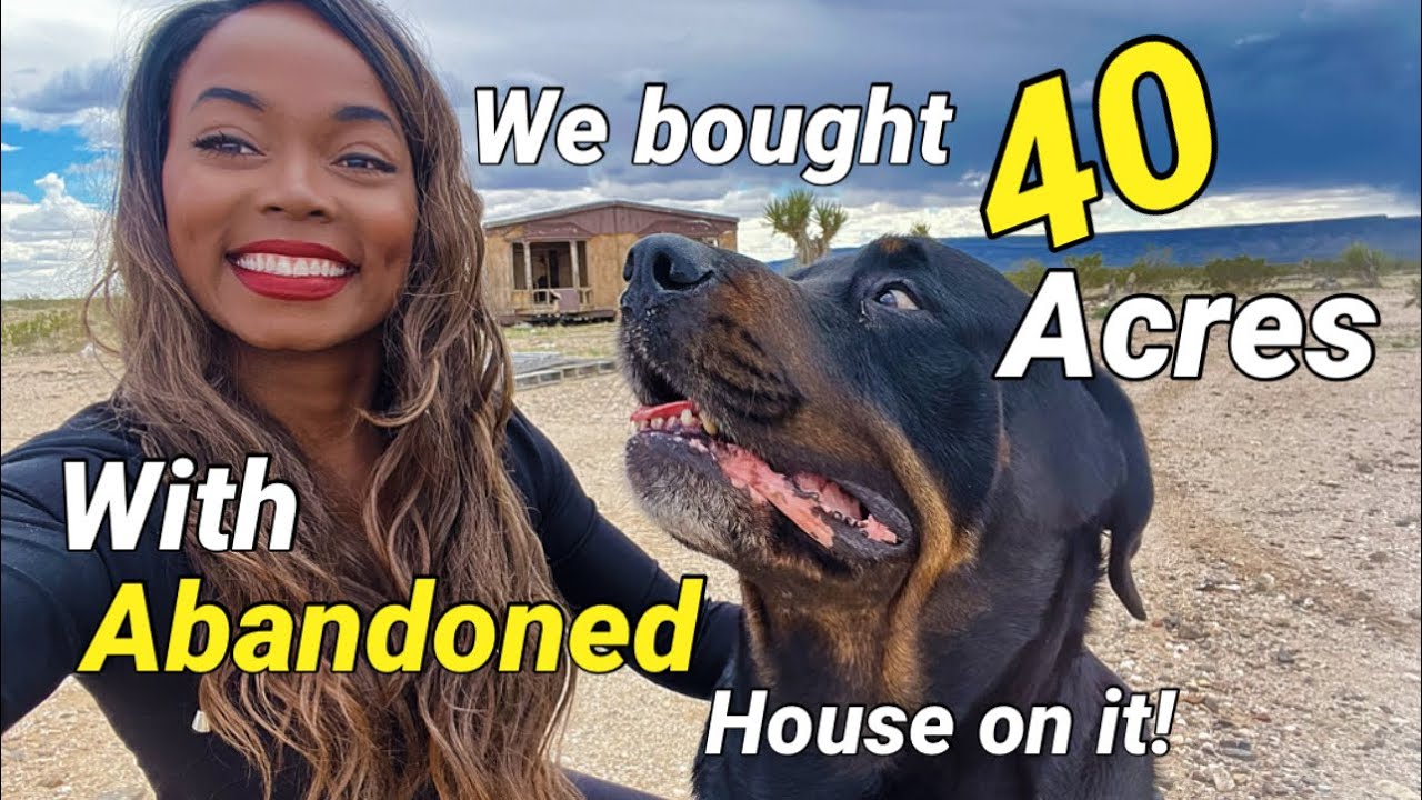COUPLE BUYS 40 ACRES OF DESERT LAND FOR ONLY $20K!! OFF GRID HOMESTEADING IN ARIZONA!