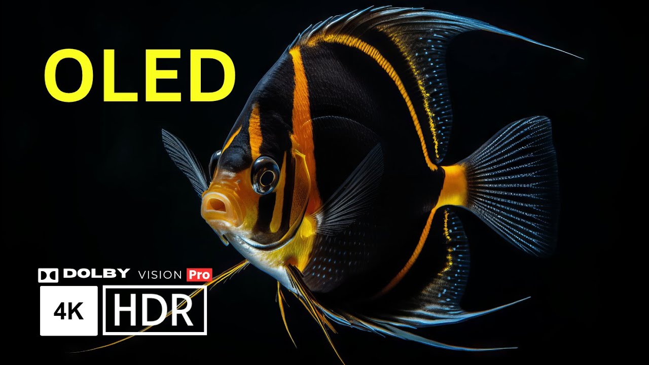 Experience CINEMA QUALITY OLED HDR 4K 120 FPS Dolby Vision video