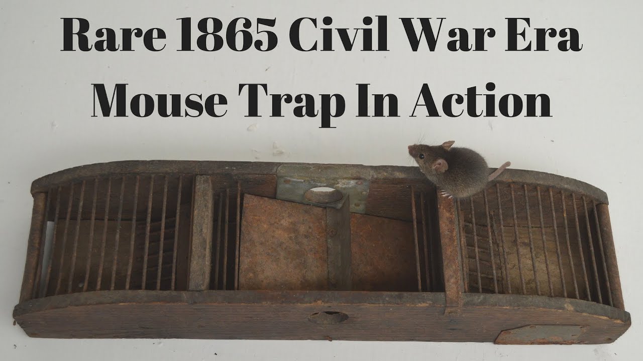 Rare 1865 Civil War Era Mouse Trap In Action With Motion Cameras. Mouse Trap Monday