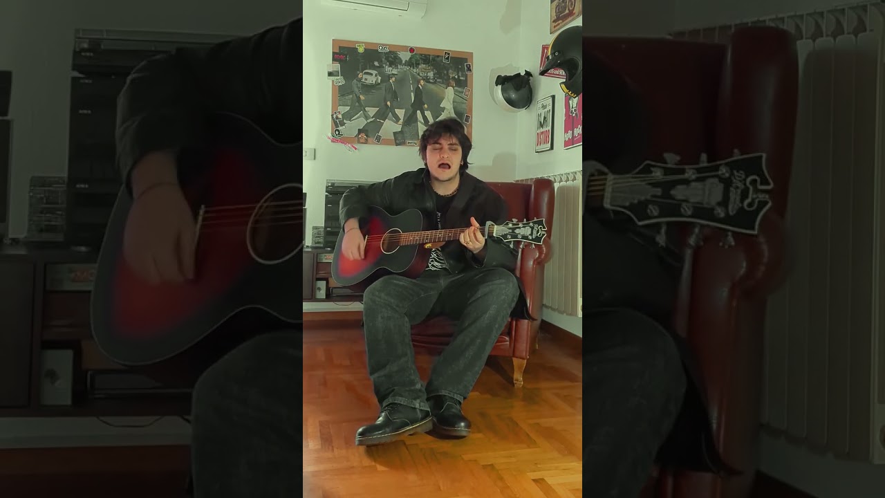 Mad Season - Long Gone Day (cover)
