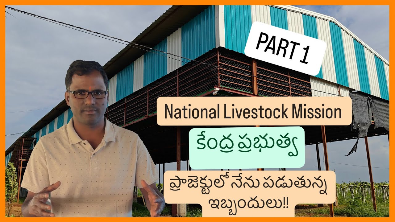 National Livestock Mission కేంద్ర ప్రభుత్వ ప్రాజెక్టులో నేను పడుతున్న ఇబ్బందులు!!!#farming#nlm#sheep