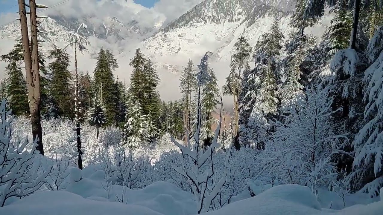 Kinnaur k Nichar gaon mai 10 feet brf 😱❄️? #explore #trending #snow # shorts♥️💯👈