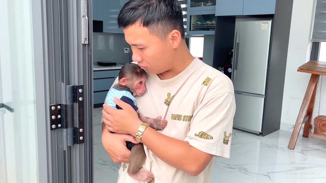 Funny Moment🤣 CUBIS Throws a Tantrum After Lucky Steals His Yogurt