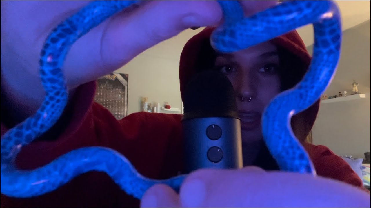 fidget toy asmr